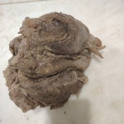 熟牛腱
