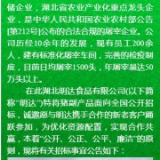 猪大肠