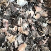 鲜百叶头