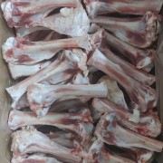肘子骨