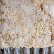 熟鸡肉丝