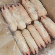 猪蹄