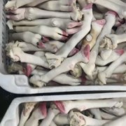 母羊蹄，大中小混