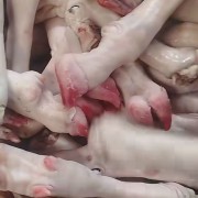 育肥羊蹄、花蹄