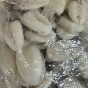 墨鱼仔