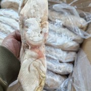 猪肚
