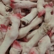 育肥羊蹄