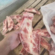 牛月牙骨