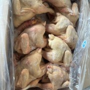 大日期三黄鸡
