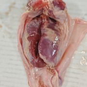 护心肉头