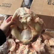 阿根廷13厂牛窝