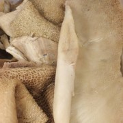 求购牛肚
