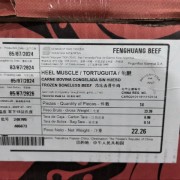 3648凤凰龟腱