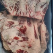 18胸骨 一柜