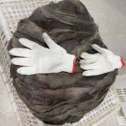 黄牛大叶片