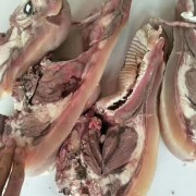 熟牛头肉