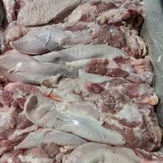 母猪口条