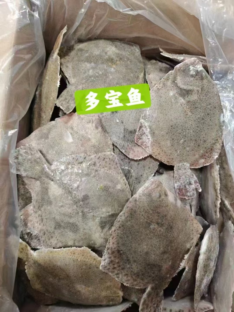 多宝鱼