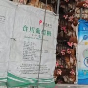 新疆红毛蛋鸡一级