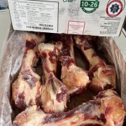 1026腿骨
