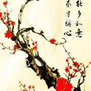 金锣龙骨