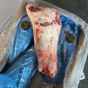 3270带骨前腱