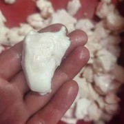 肥猪元宝筋
