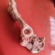 羊胯骨羊叉骨羔羊