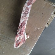 阿根廷189牛羽