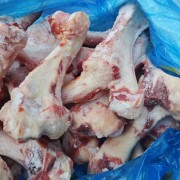 母猪前腿骨