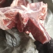 腰椎骨