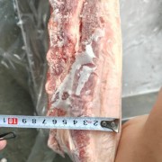 带皮带肋中方