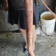 牛鞭