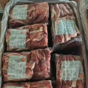 玻22厂肩胛肋条