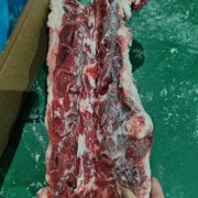国产腰椎骨