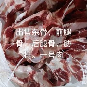 杂骨