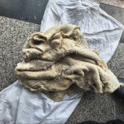 熟牛肚