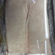 脊皮