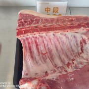 前后中段