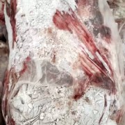 牛肝