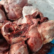 饲料猪肝