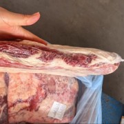 新西兰双层后胸