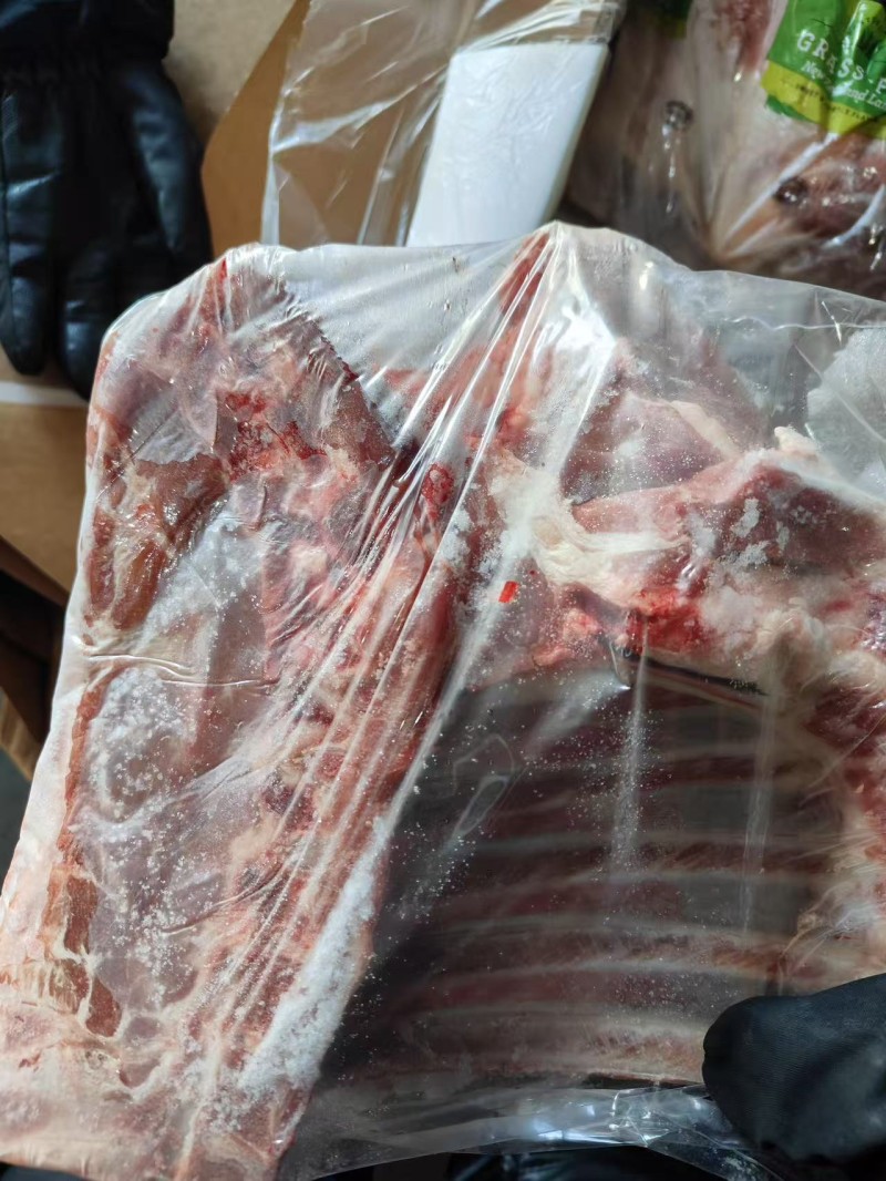 羔羊前四分体 112厂