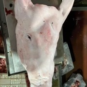 肥猪全头一级带耳