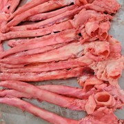 猪心管