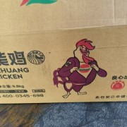 存货西装鸡 18