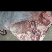 母猪四号肉