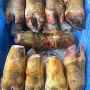 032火烧牛蹄