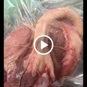 牛鞭