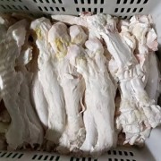 牛蹄筋
